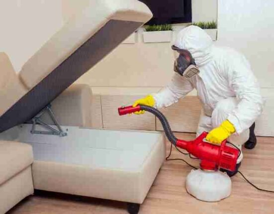 pest control in apartments