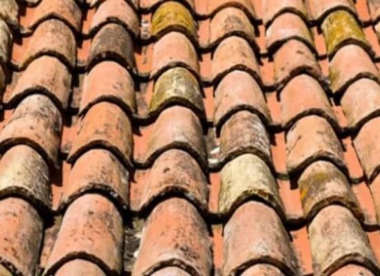 remove mold from your roof